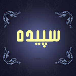 دانلود آهنگ مدارا میکنم مدارا میکنم