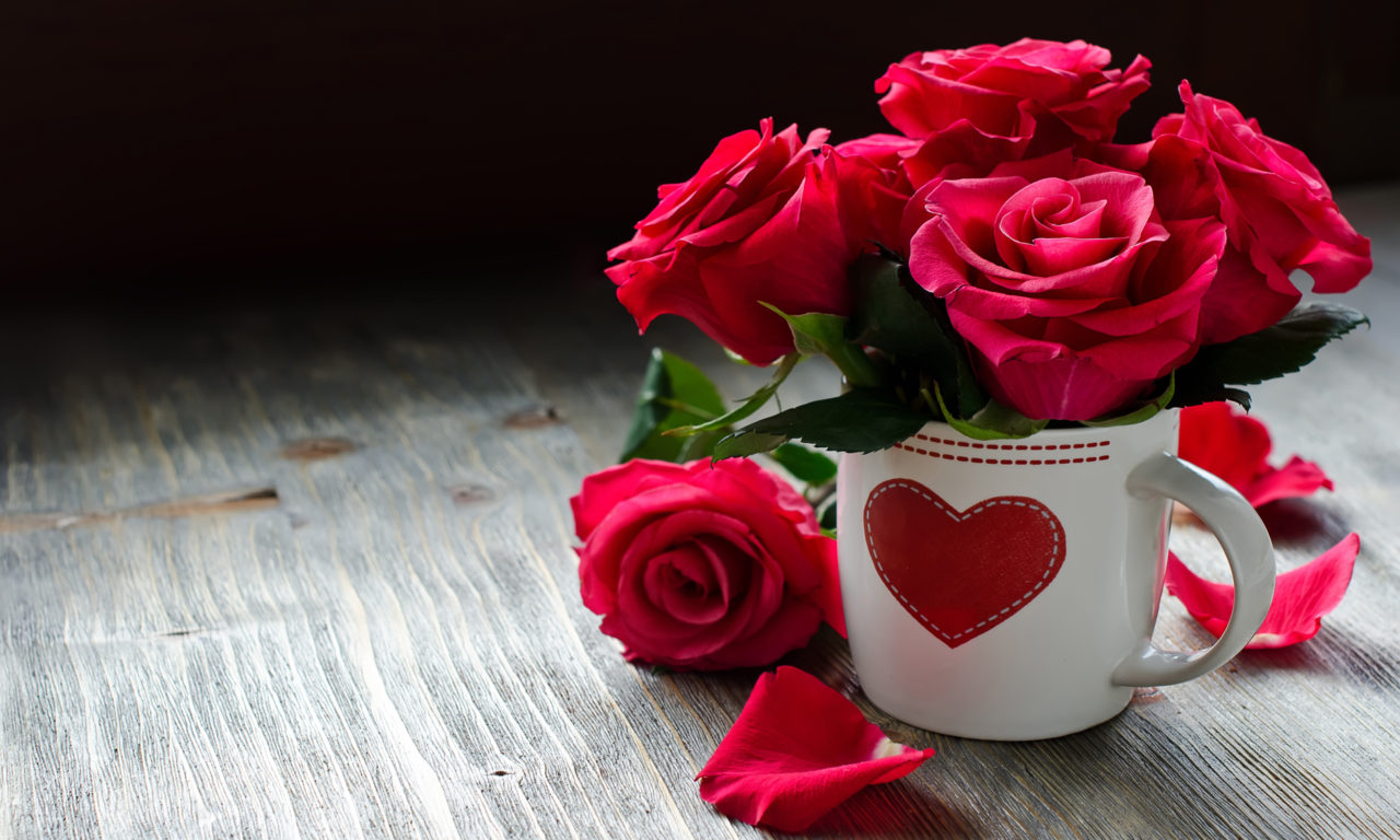 ای ساحل آرامشم 