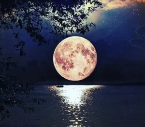 دانلود آلبوم مهتاب عشق مهتاب عشق