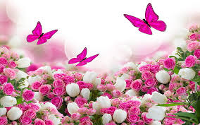 دانلود آهنگ چه حالیه چه حالیه