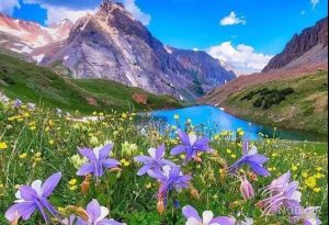دانلود آهنگ کوه کوه
