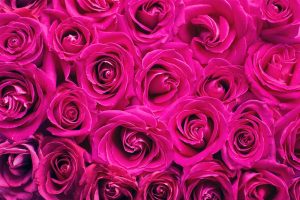 دانلود آهنگ ذره ذره ذره ذره