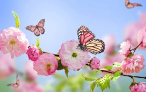 دانلود آهنگ نقطه پایان نقطه پایان