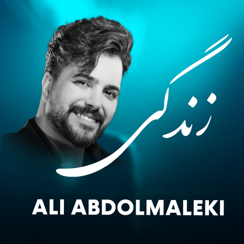 علی عبدالمالکی زندگی
