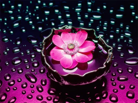 عهدیه طراوت گل