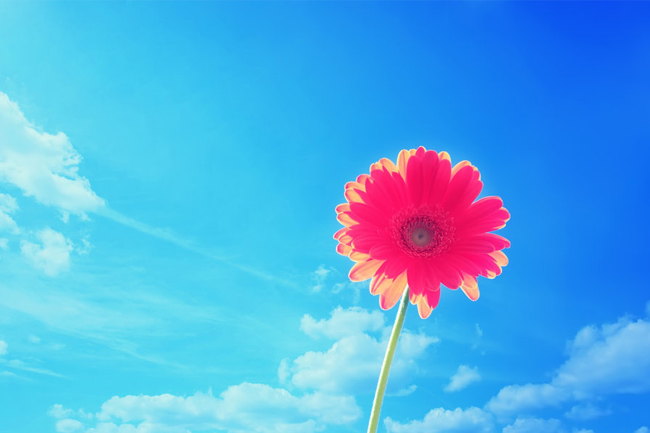 عهدیه دل دیوونه