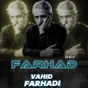 ریمیکس آهنگ فرهاد مرد تنها