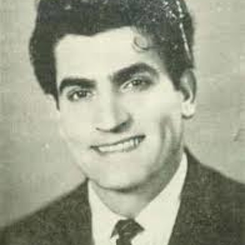  ویگن الهه ناز
