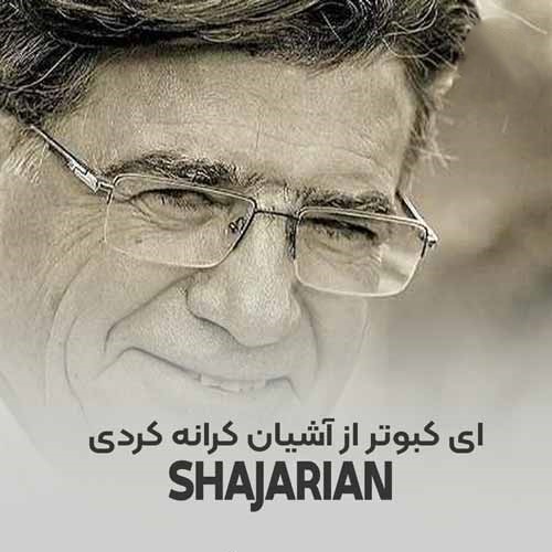 محمدرضا شجریان کبوتر