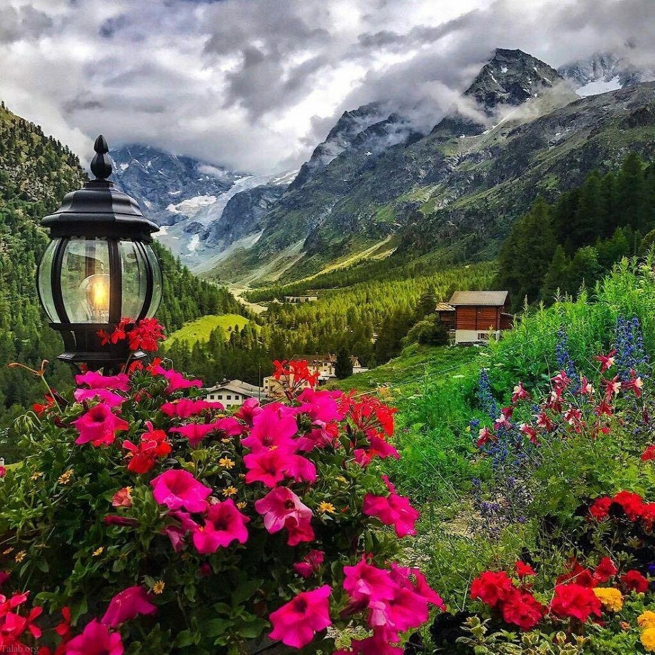 مرضیه صبح خندان