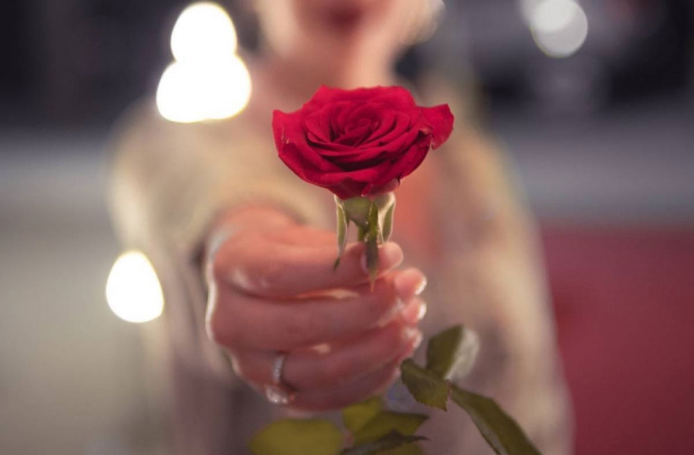 مرضیه عمر دوباره