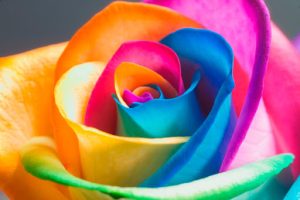 دانلود آهنگ فصل تازه فصل تازه
