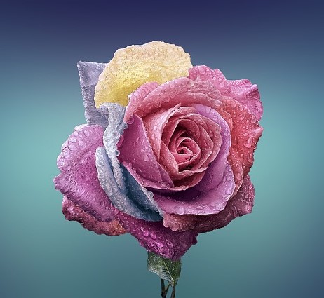 مرضیه گیسو