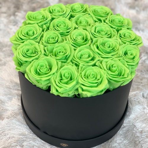 رامش گفتگوی سبز