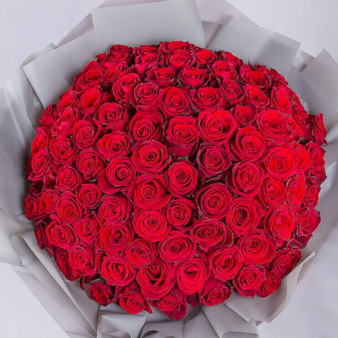 شکیلا نوایی