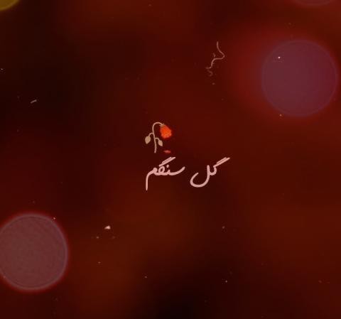 هایده گل سنگ