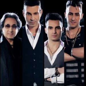 بلک کتس ساده