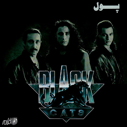  بلک کتس پول