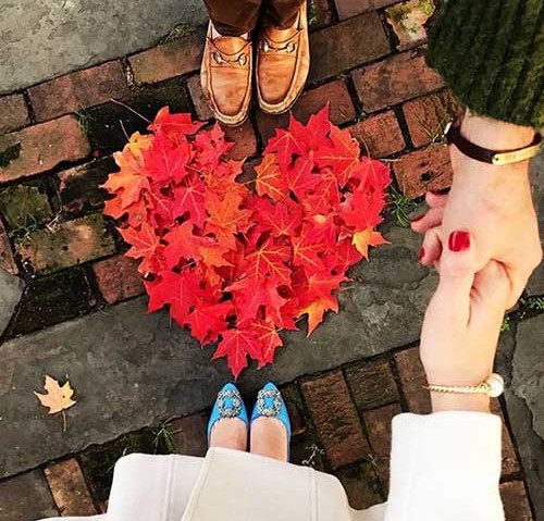  سیمین غانم به کنارم بنشین