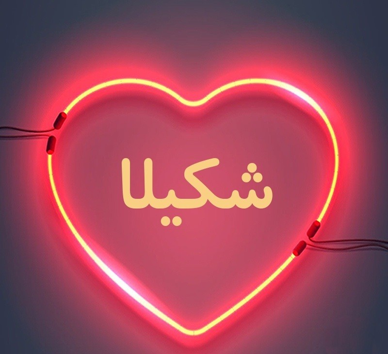 شکیلا دلا امشب سفر دارم