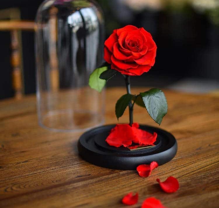مرضیه میانه شکسته