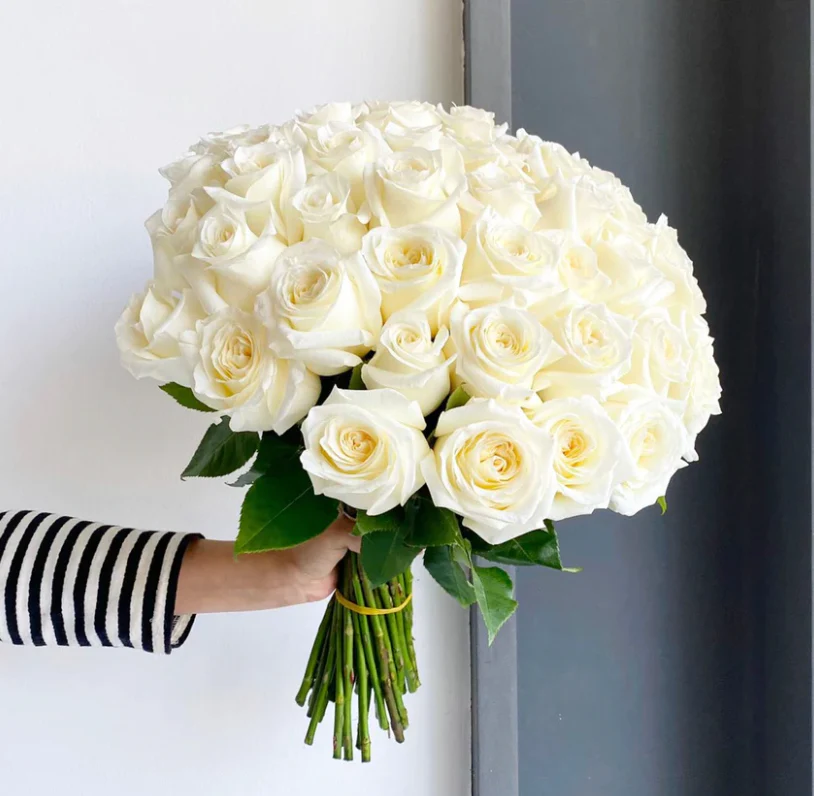 هایده پادشه خوبان