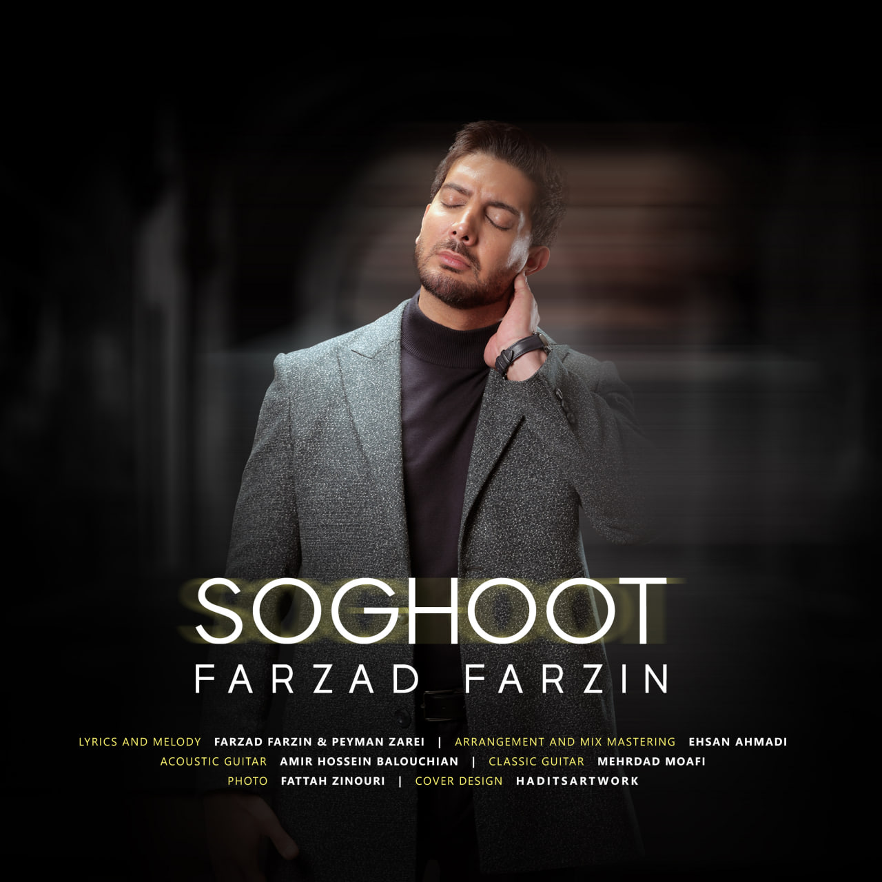 فرزاد فرزین سقوط