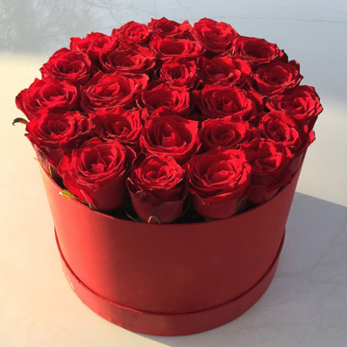 سحر هی
