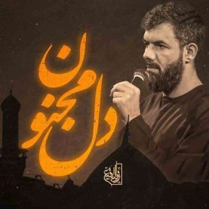 دانلود مداحی حسین ستوده دل مجنون مداحی حسین ستوده دل مجنون