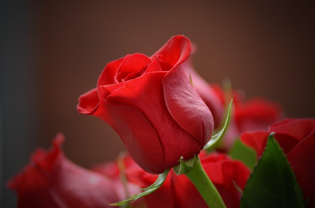 هایده سوغاتی (ریمیکس)