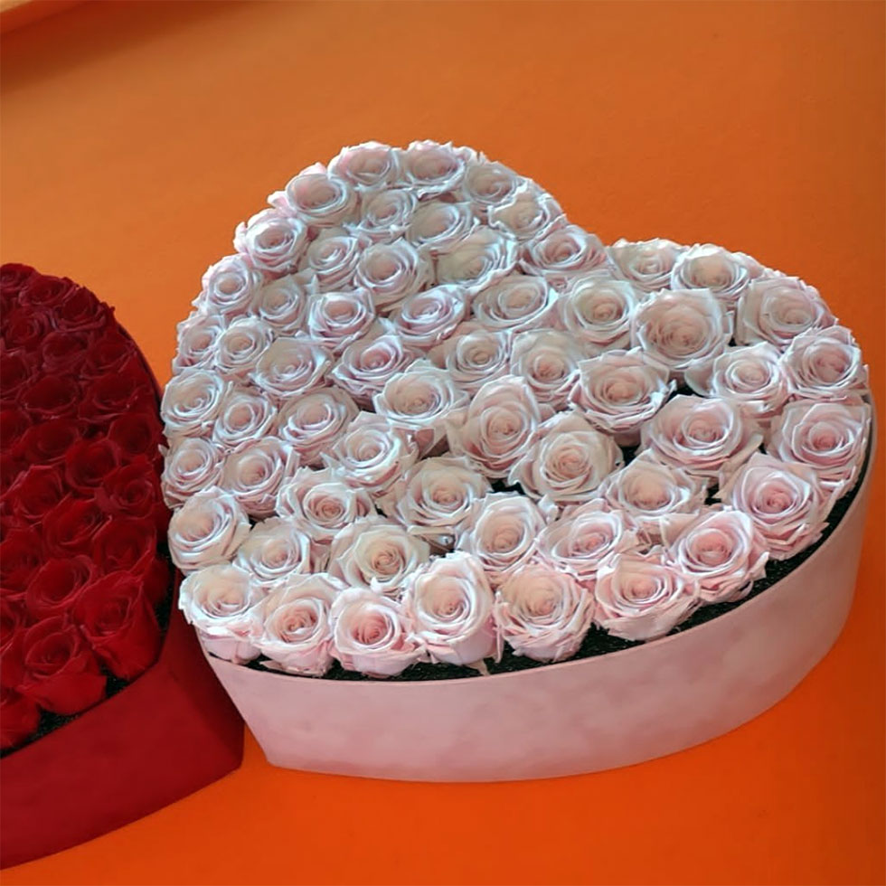 سارن کذایی