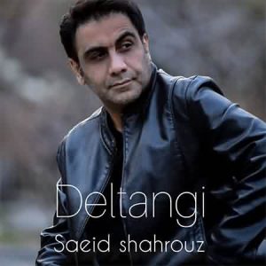 دانلود آهنگ سعید شهروز دلتنگی سعید شهروز دلتنگی
