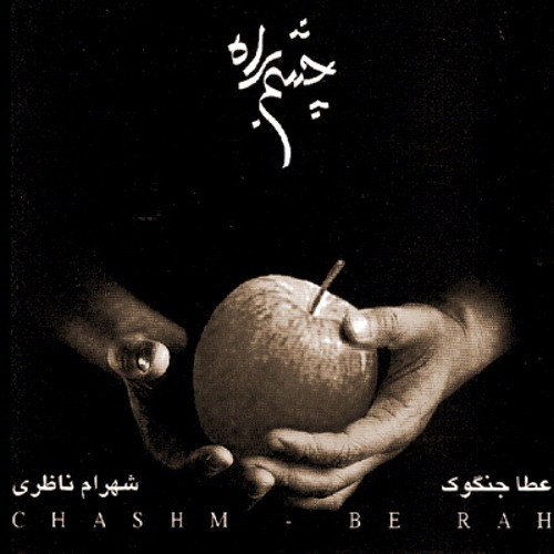 شهرام ناظری چشم به راه