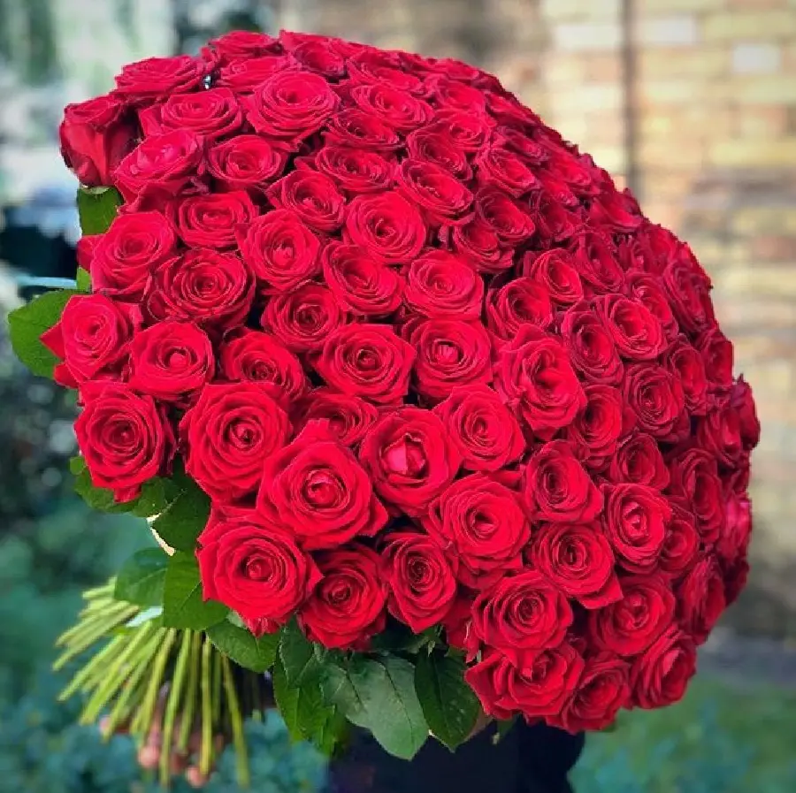 شهره طرفدار