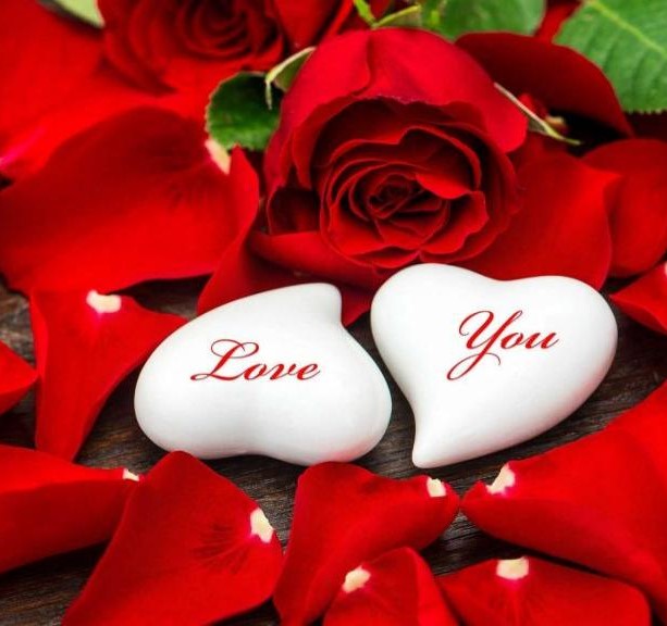 هایده دل دیوونه (ریمیکس)