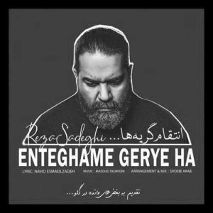 دانلود آهنگ رضا صادقی انتقام گریه ها رضا صادقی انتقام گریه ها