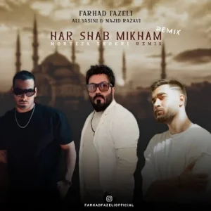 دانلود ریمیکس هرشب میخوام