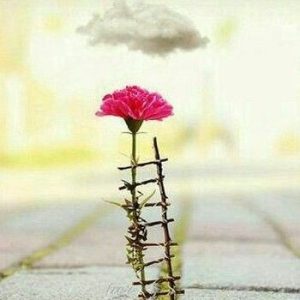 دانلود آهنگ نوش آفرین وقته چیه ( هوش مصنوعی )