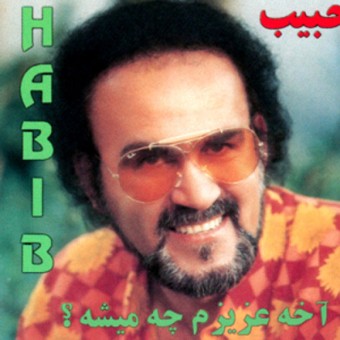 حبیب امام زاده
