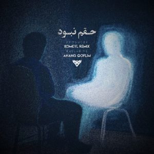 ریمیکس حقم نبود