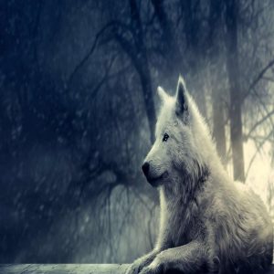 ریمیکس خیال پرواز